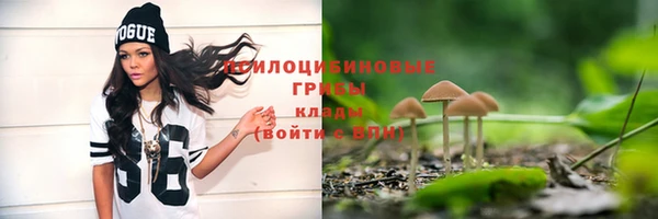 jwh Баксан
