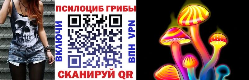 mega рабочий сайт  сколько стоит  Купино  Галлюциногенные грибы GOLDEN TEACHER 